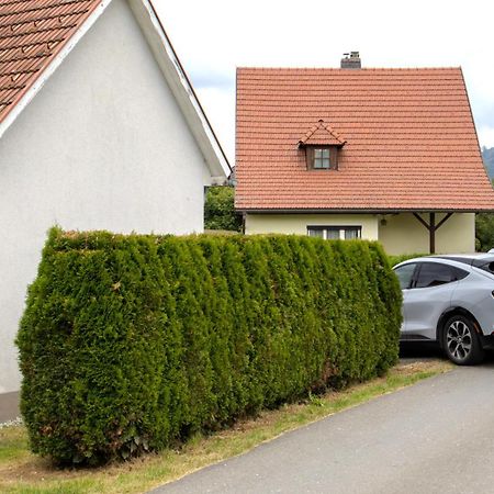 Flat Bull Appartement Mit Garten Sankt Lorenzen bei Knittelfeld Екстер'єр фото